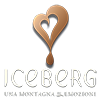 Iceberg Logo